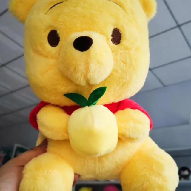 [JL] Winnie the Pooh with pomelo · Plush toy · 33 cm